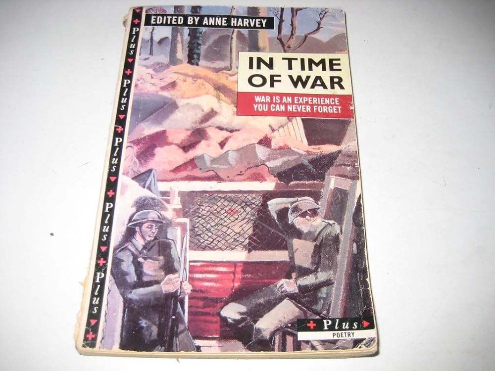 In The Time Of War cover image