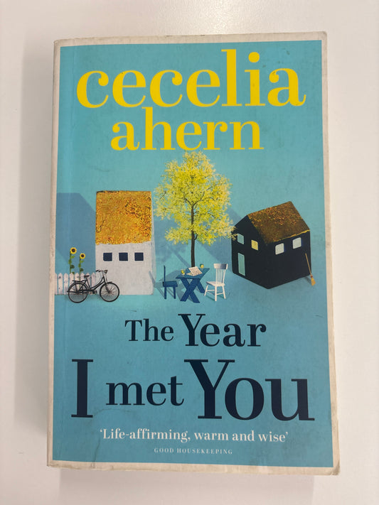 The Year I Met You