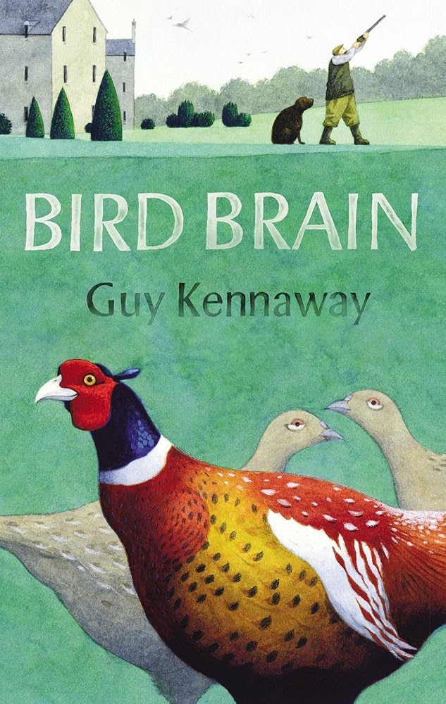 Bird Brain cover image