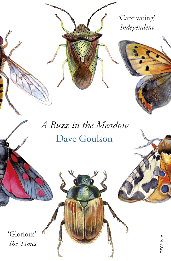 A Buzz in the Meadow cover image