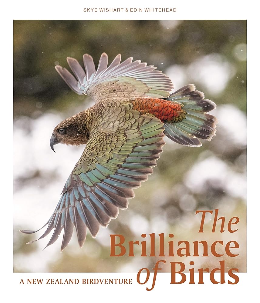 The Brilliance of Birds cover image