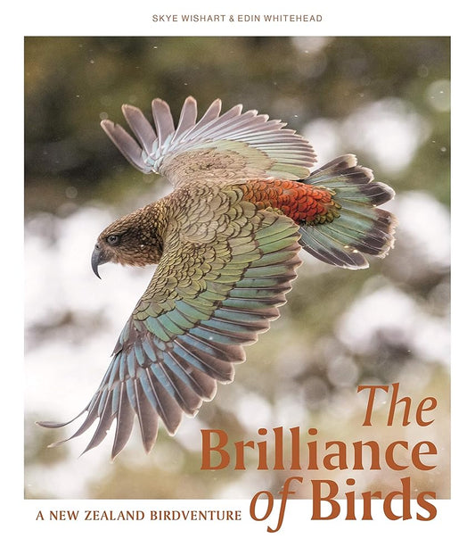 The Brilliance of Birds cover image