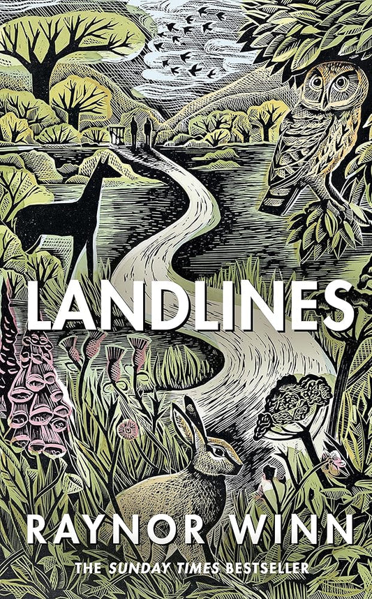 Landlines cover image
