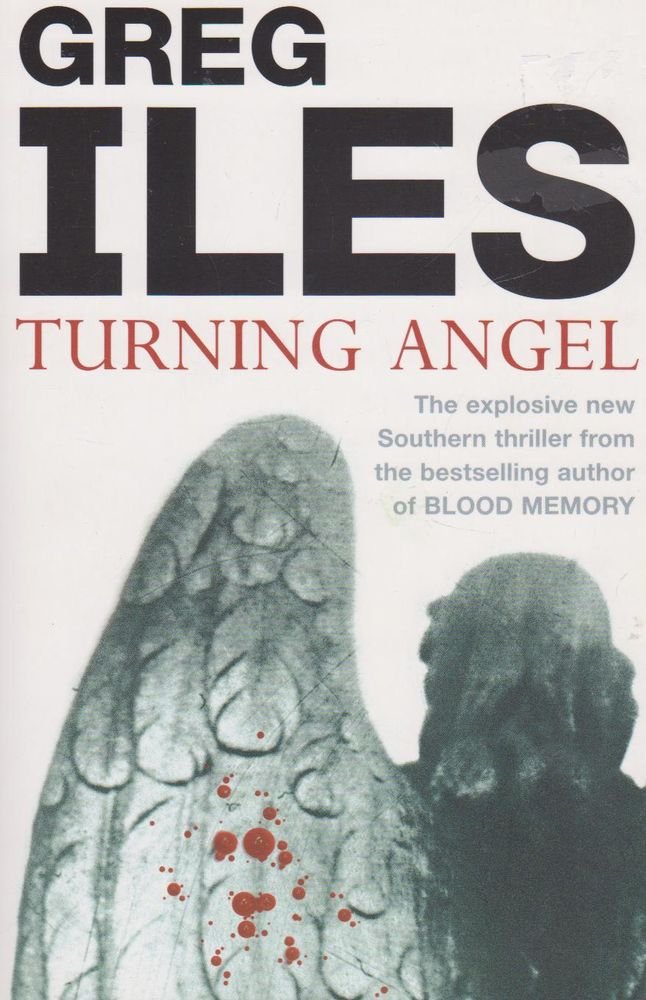 TURNING ANGEL cover image