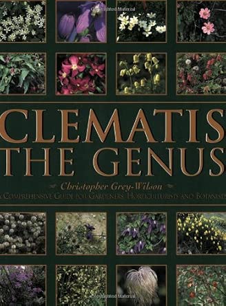 Clematis cover image