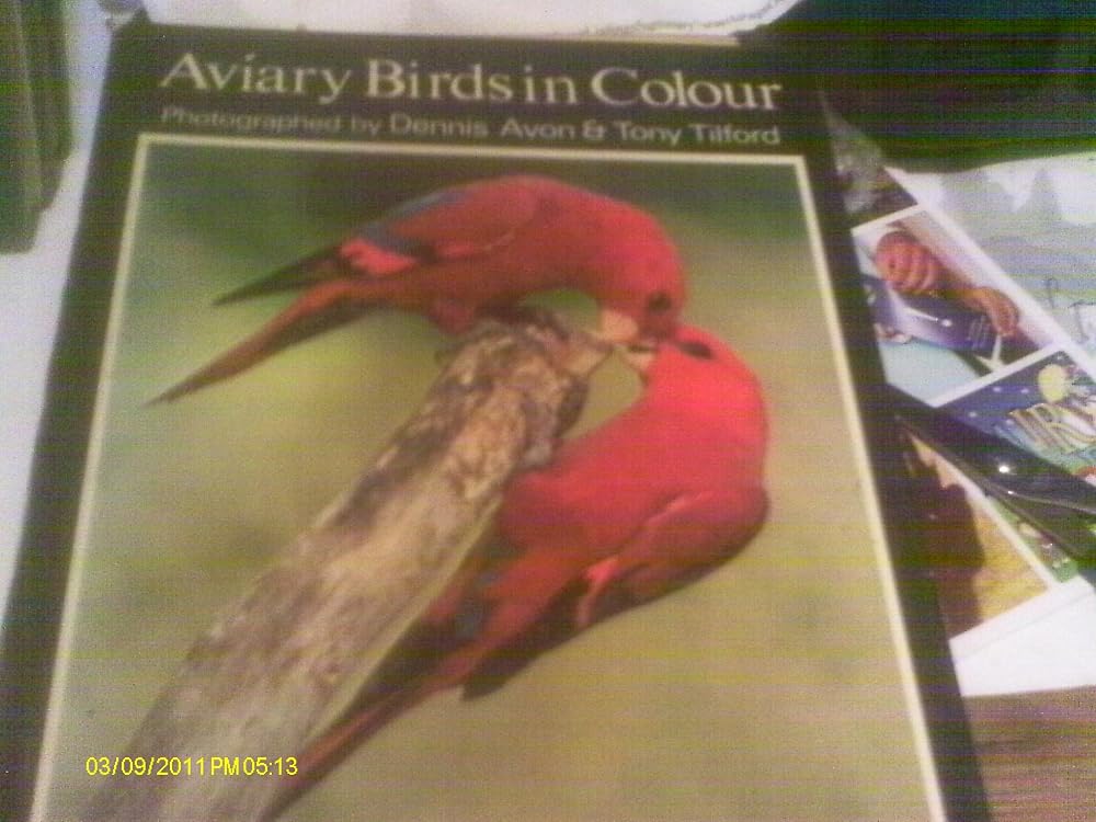 Aviary birds in colour cover image
