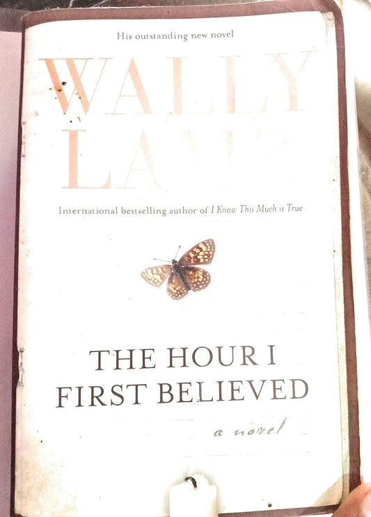 Hour I First Believed, The cover image