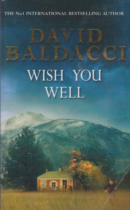 Wish You Well cover image
