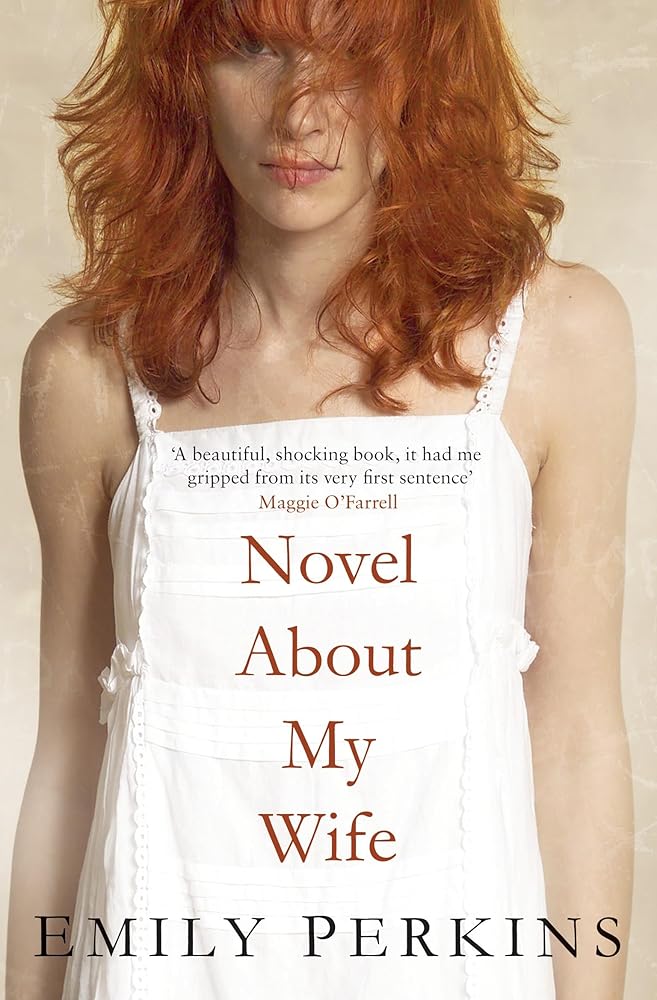 Novel About My Wife cover image