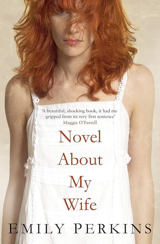 Novel About My Wife cover image