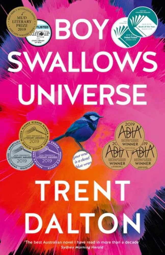 Boy Swallows Universe cover image