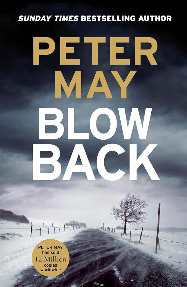 Blowback: The exciting penultimate case in the addictive crime series (The Enzo Files Book 5) cover image