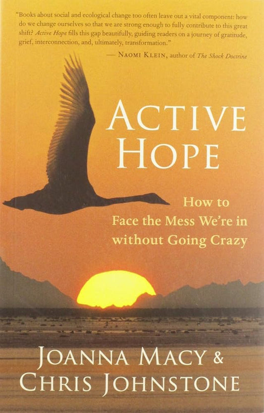 Active Hope: How to Face the Mess We're in without Going Crazy cover image