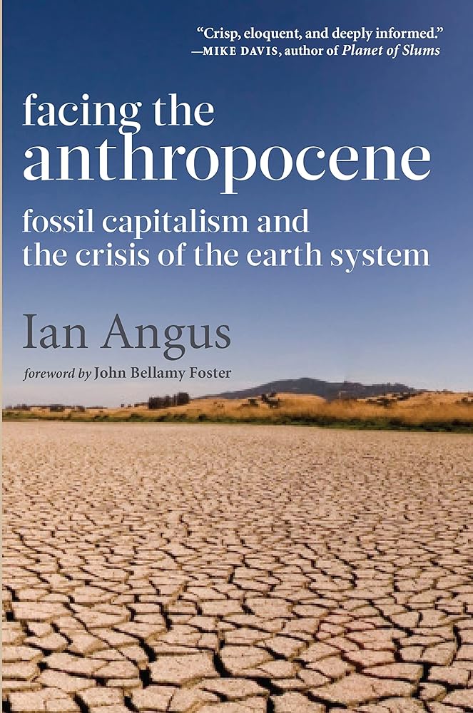 Facing the Anthropocene: Fossil Capitalism and the Crisis of the Earth System cover image