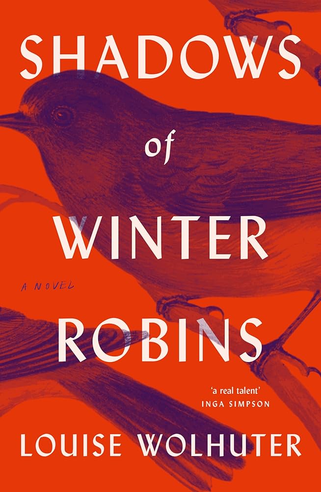 Shadows of Winter Robins cover image