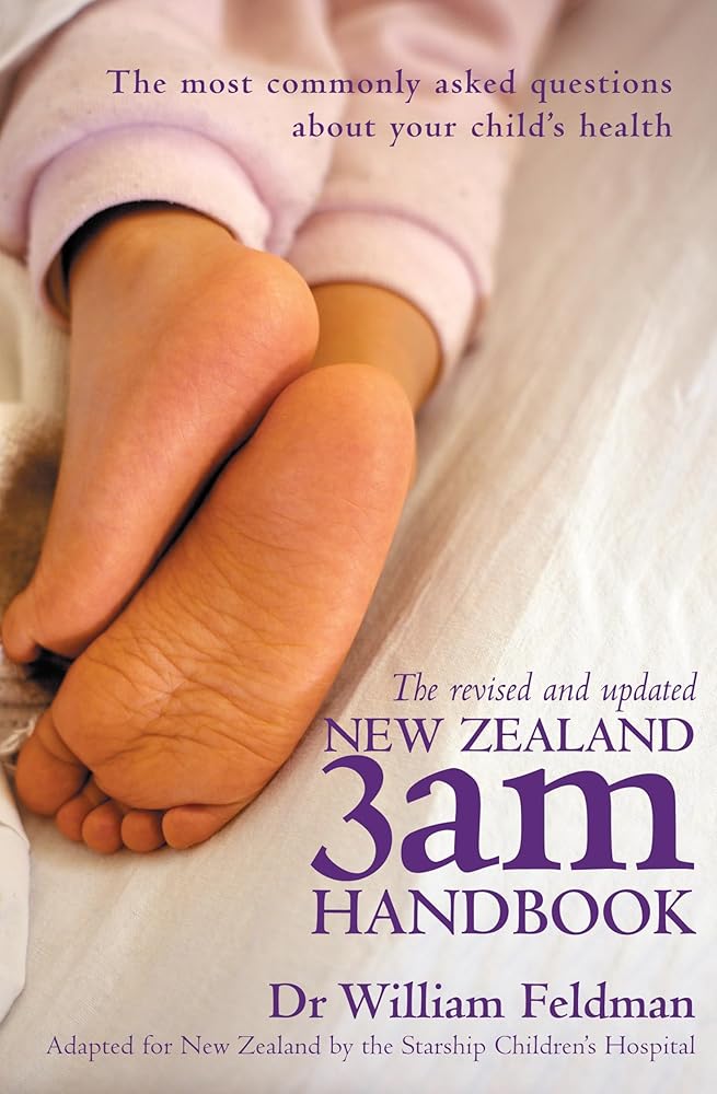 3 am Handbook cover image