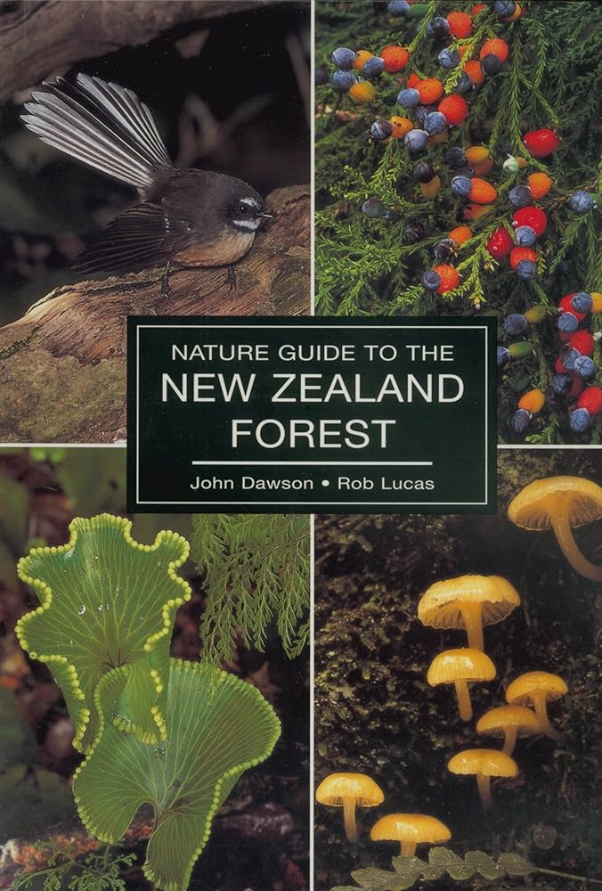 Nature Guide to the New Zealand Forest cover image