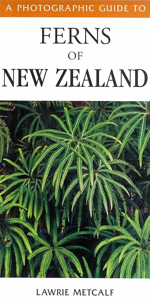 Photographic Guide to Ferns of New Zealand cover image