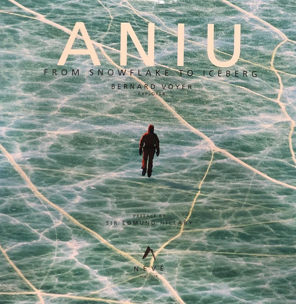 aniu-from_snowflake_to_iceberg cover image