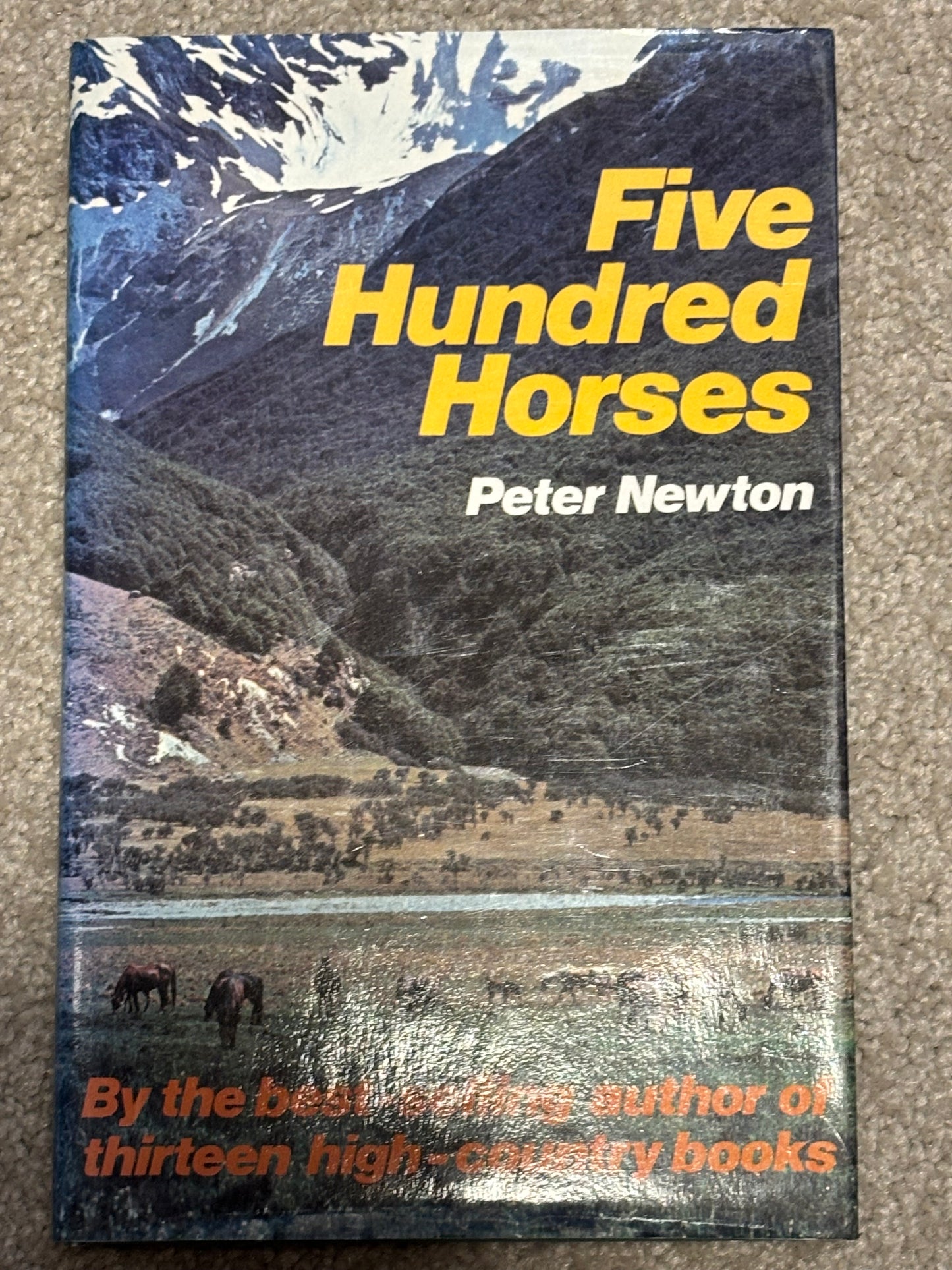 Five hundred horses by Peter Newton