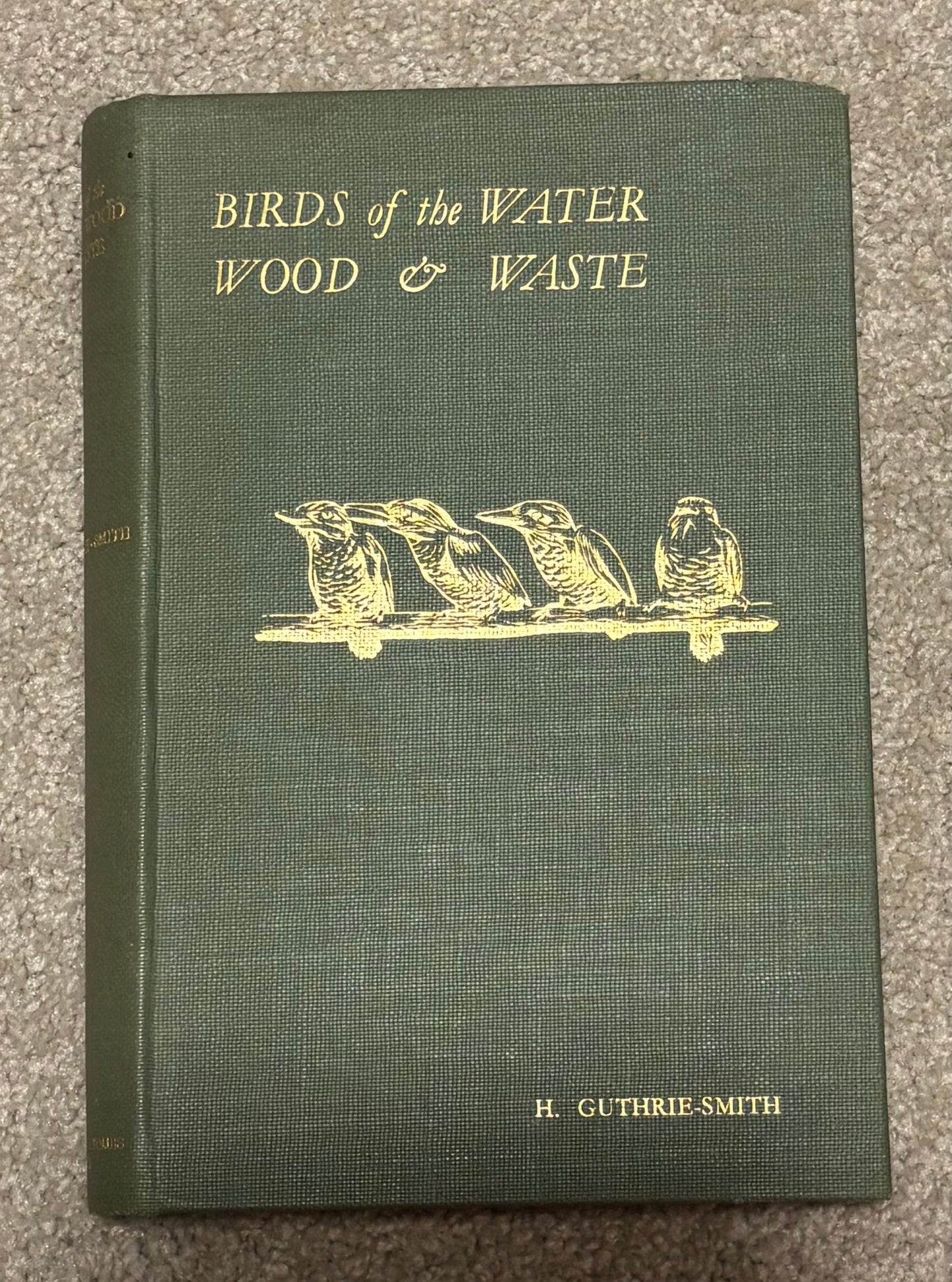 Birds of the Water, Wood & Waste by H Guthrie-Smith