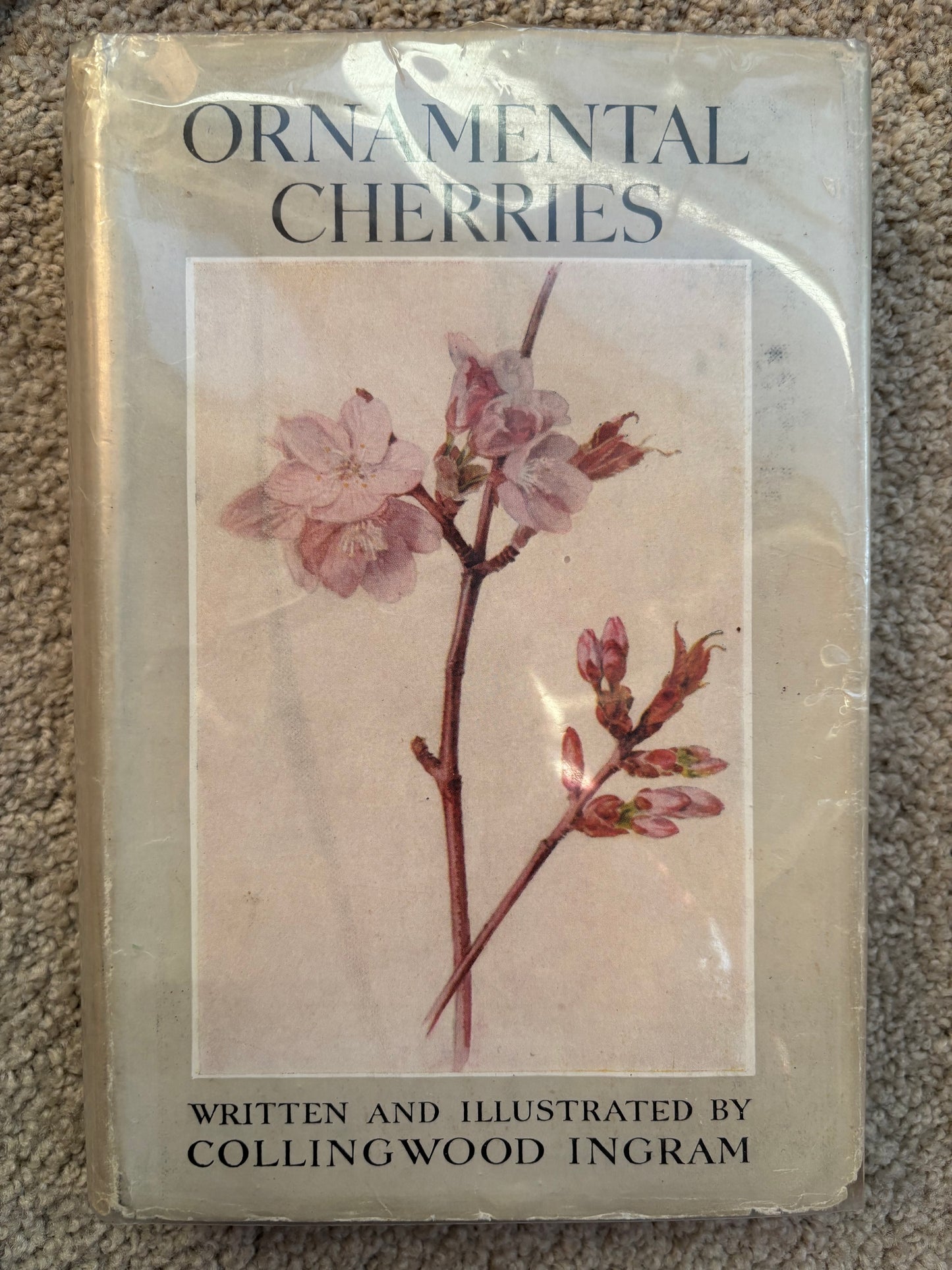 Ornamental Cherries by Collingwood Ingram