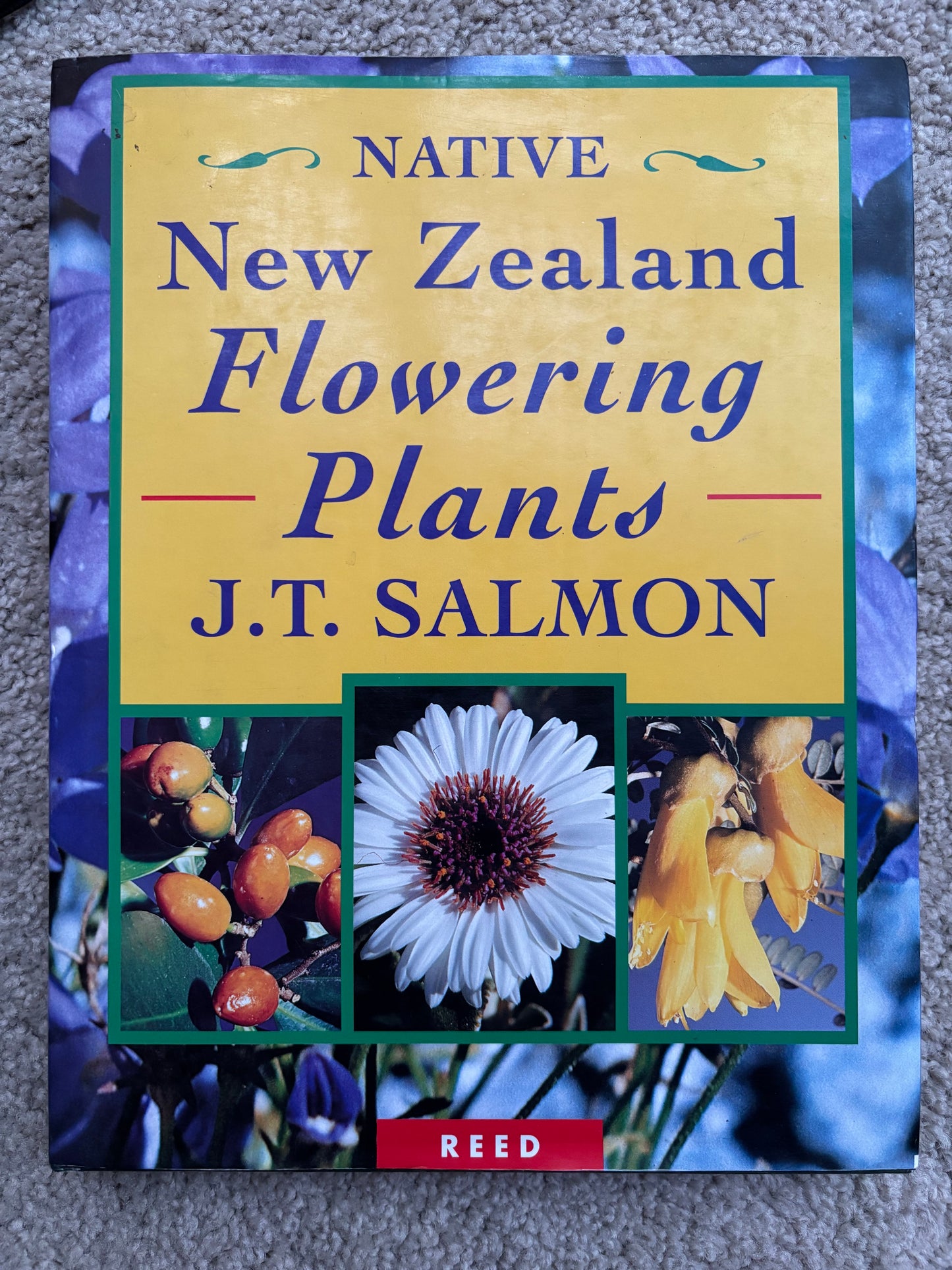 Native New Zealand flowering plants