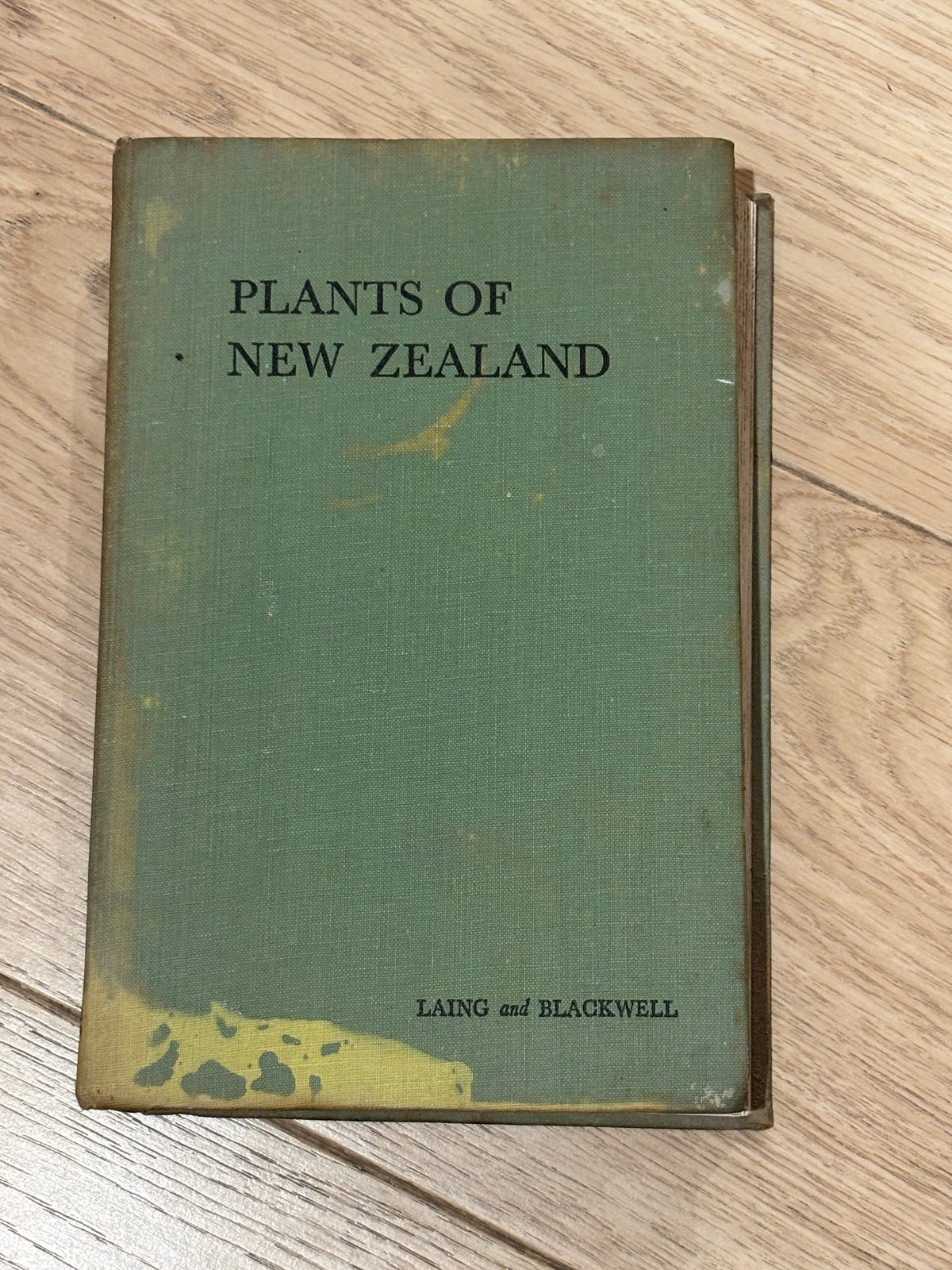 Plants of New Zealand by Laing and Blackwell