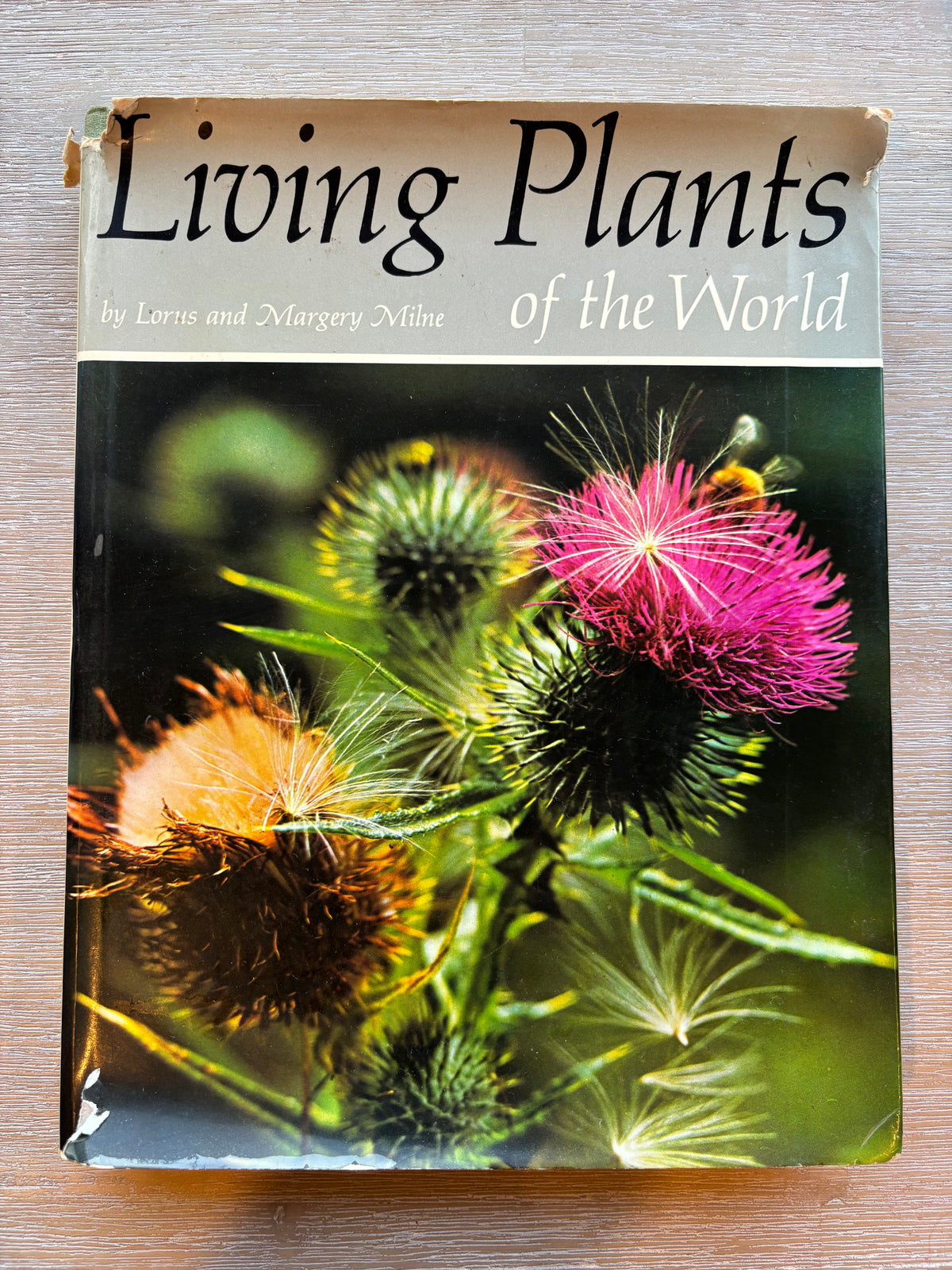 Living Plants of the World by L & M Milne