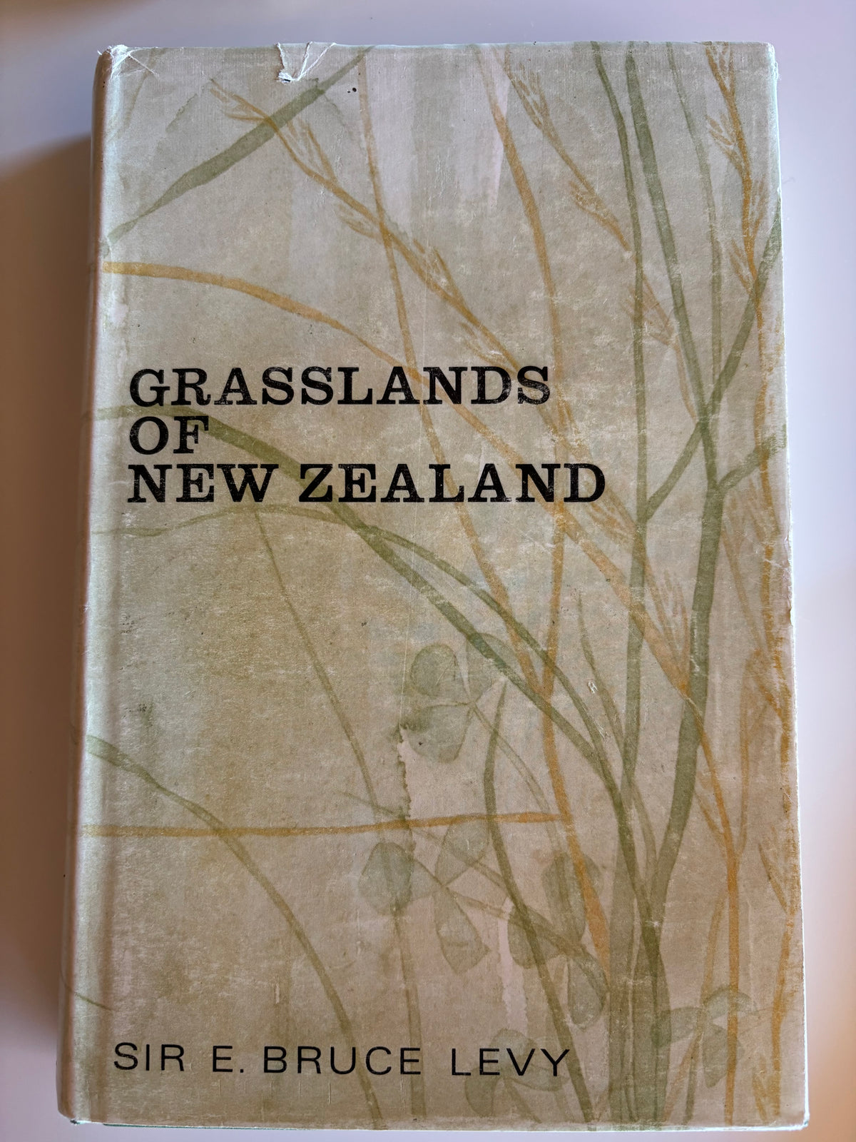 Grasslands of New Zealand by Sir Bruce Levy
